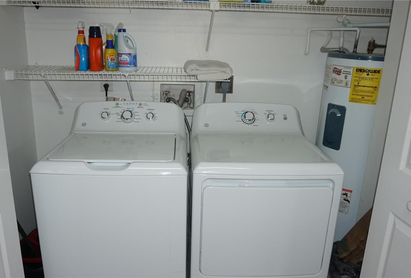 Photo #8