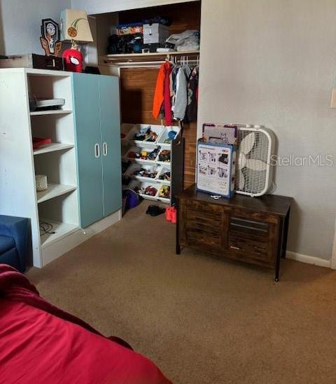 Photo #7
