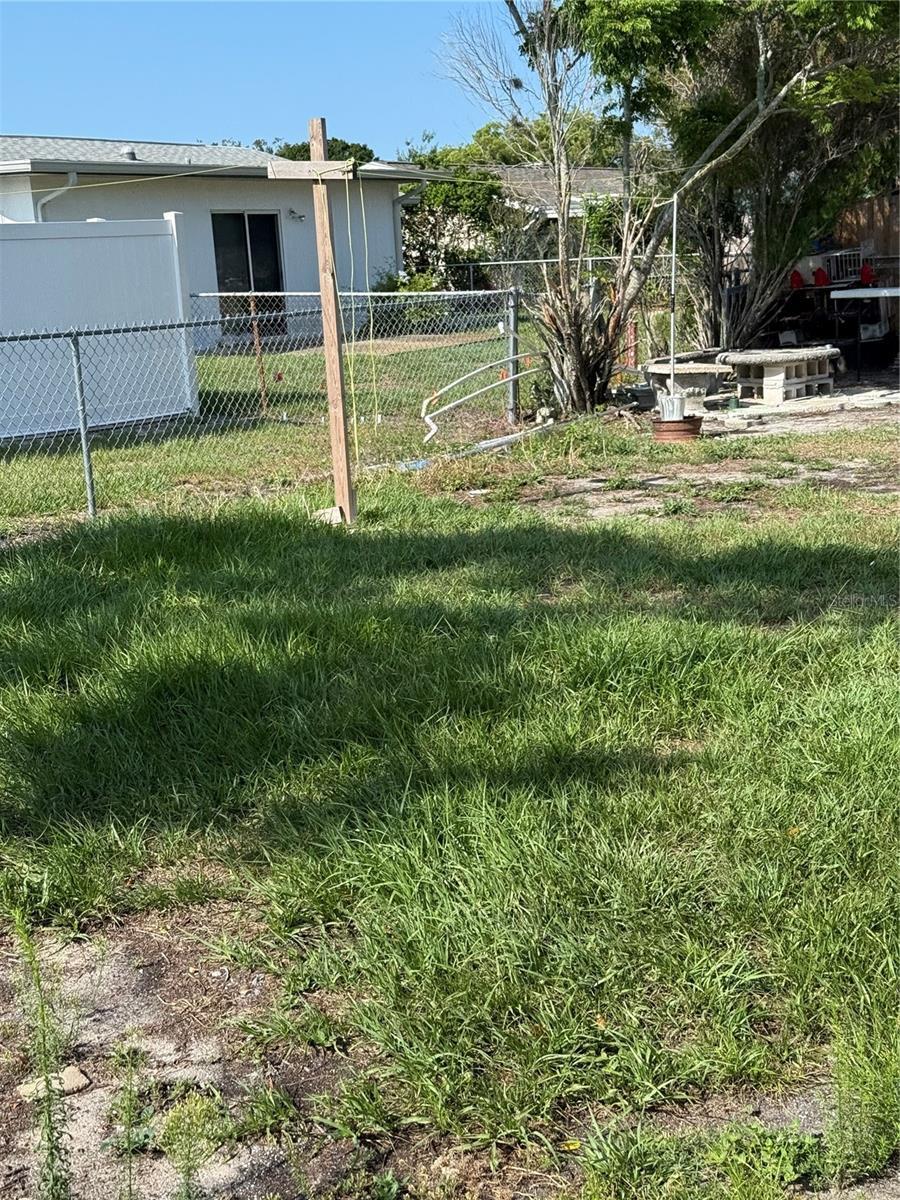 Photo #13
