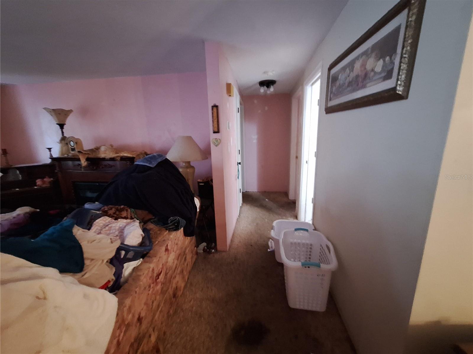 Photo #17