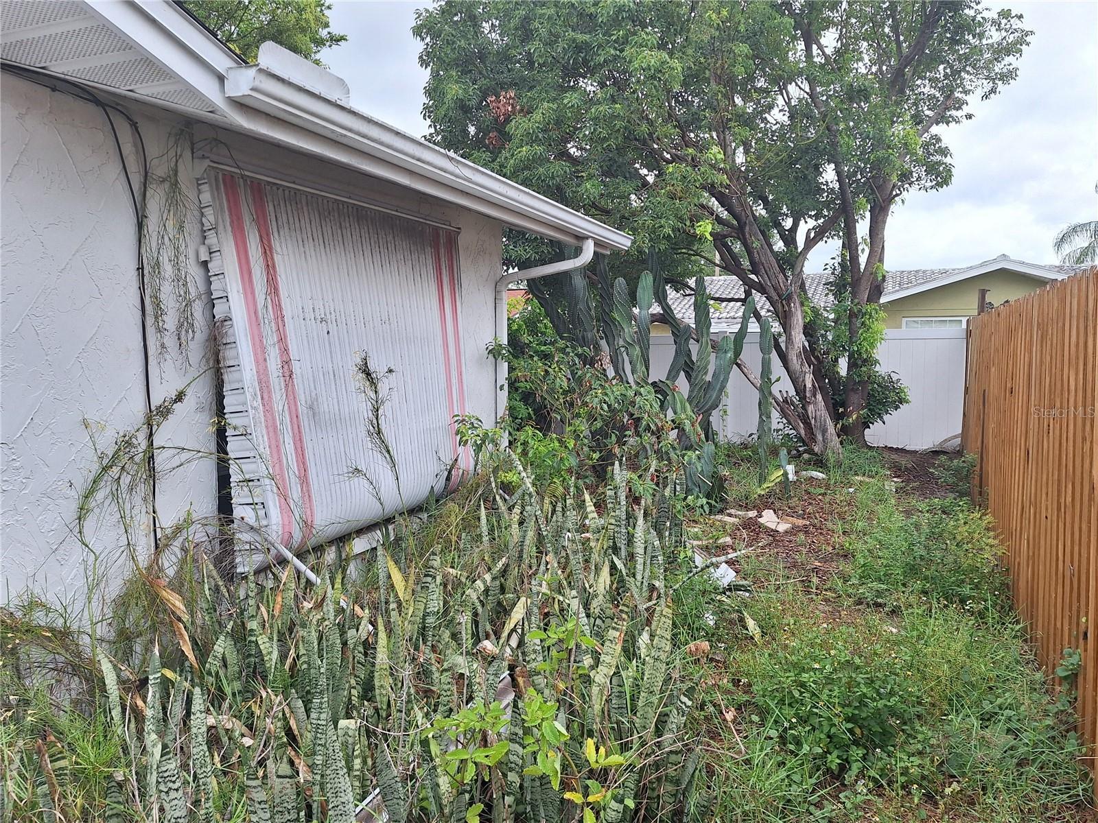 Photo #43
