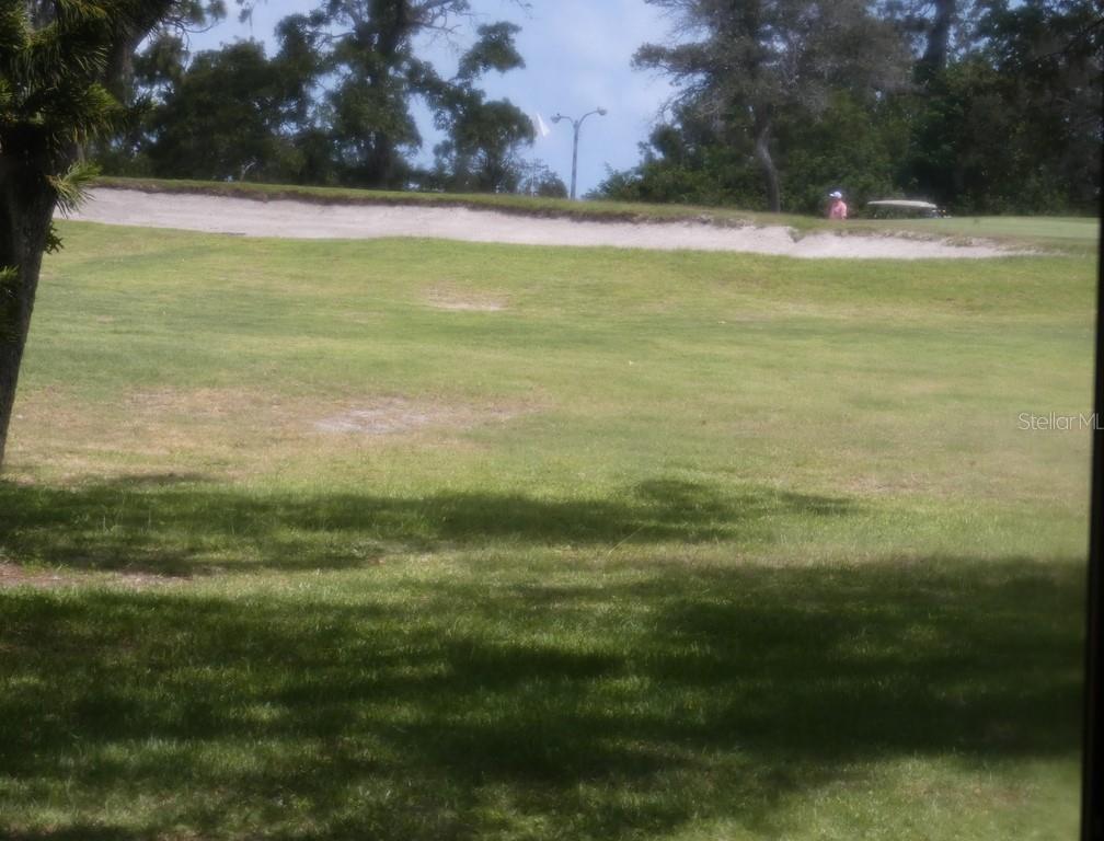 Photo #3