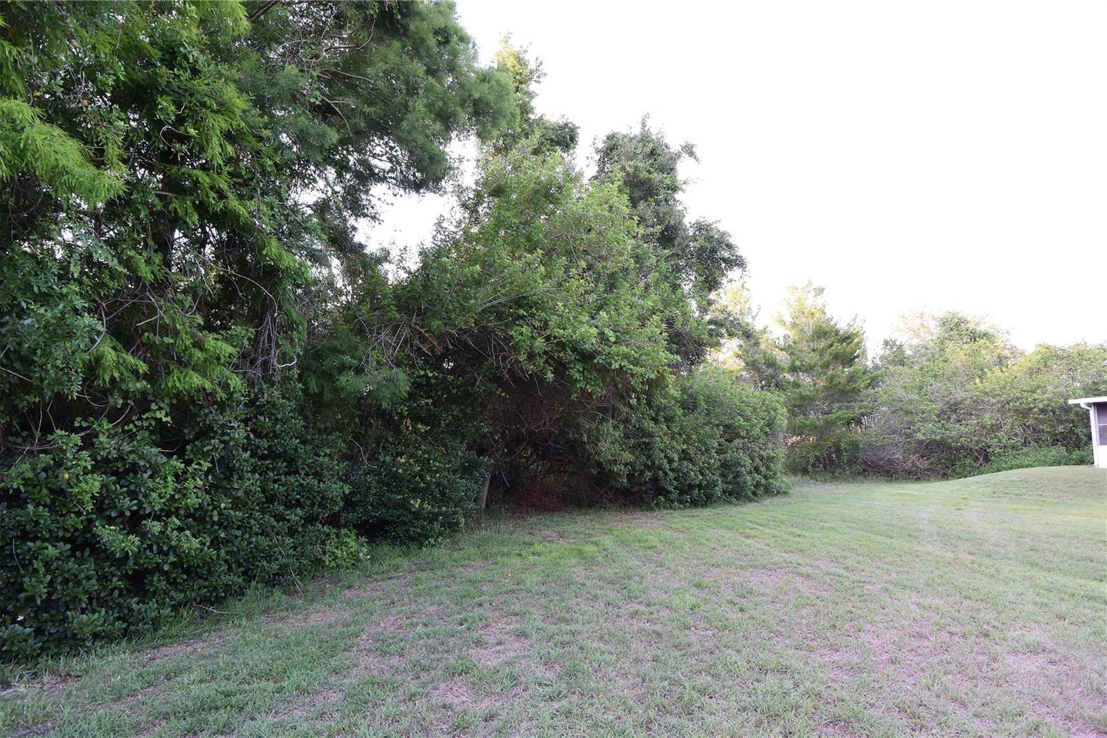Photo #45