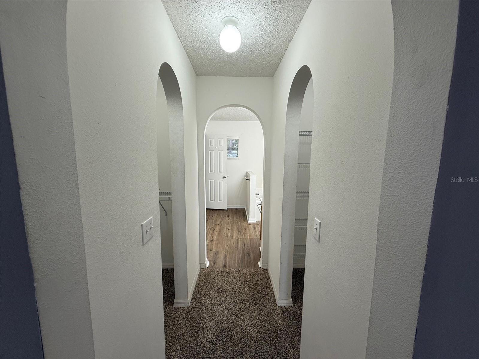 Photo #16