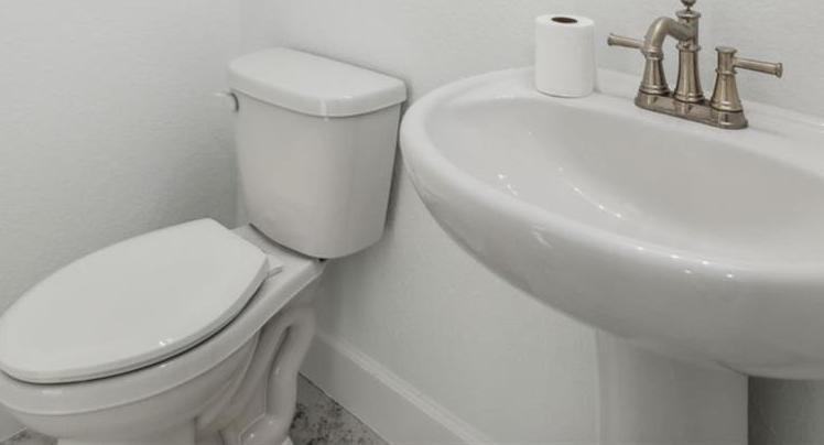 Photo #31