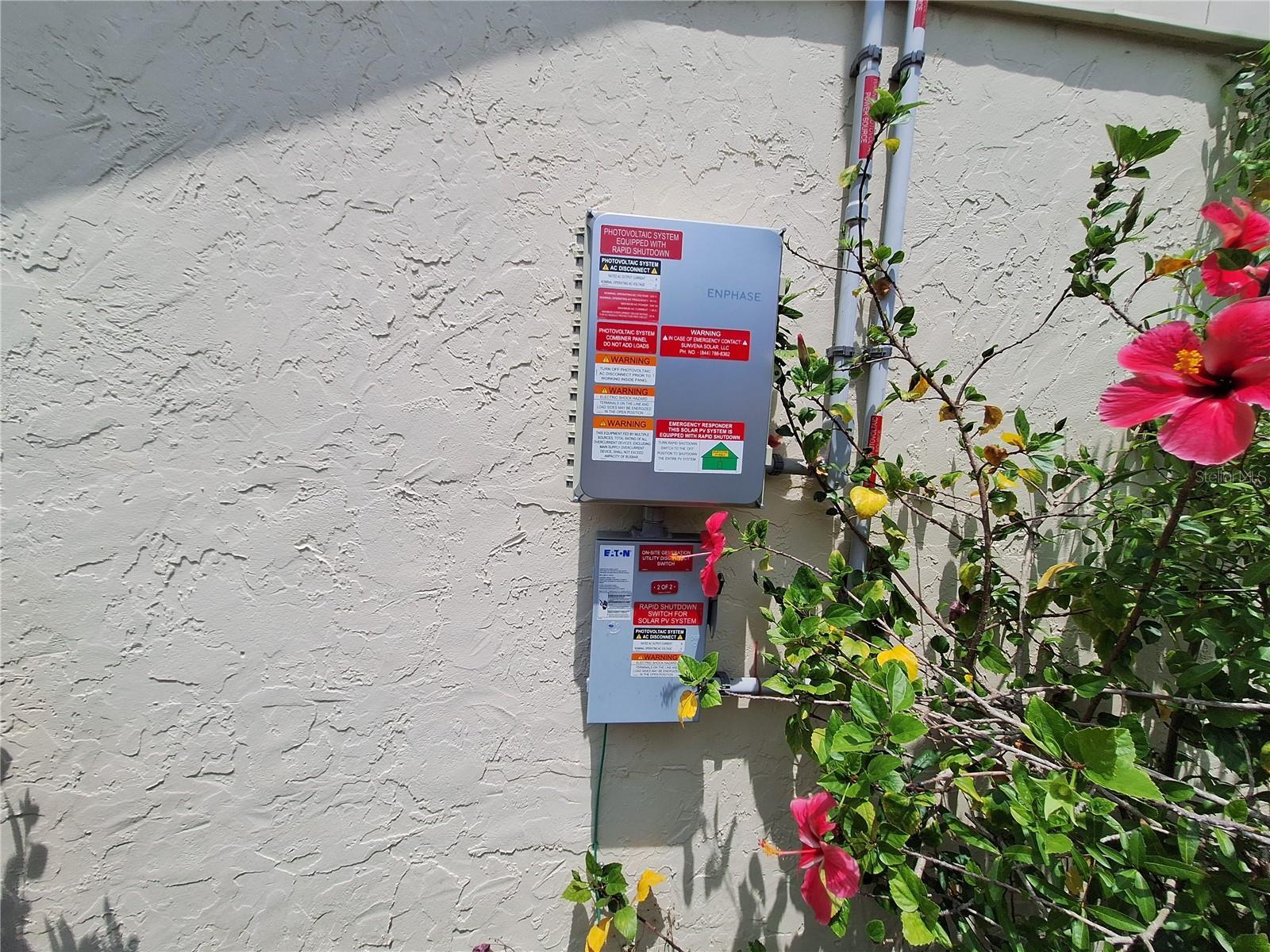 Photo #52