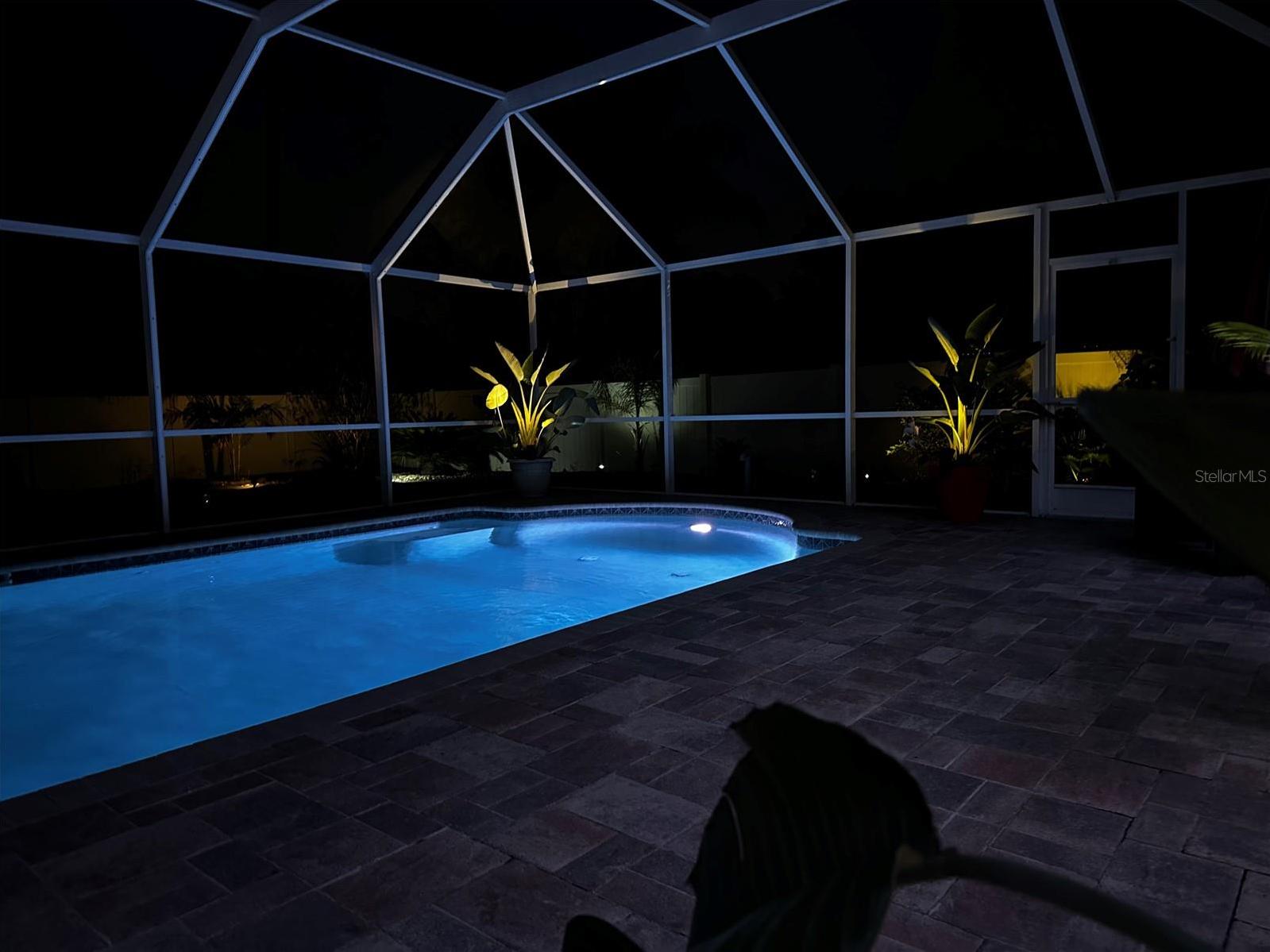 Photo #46