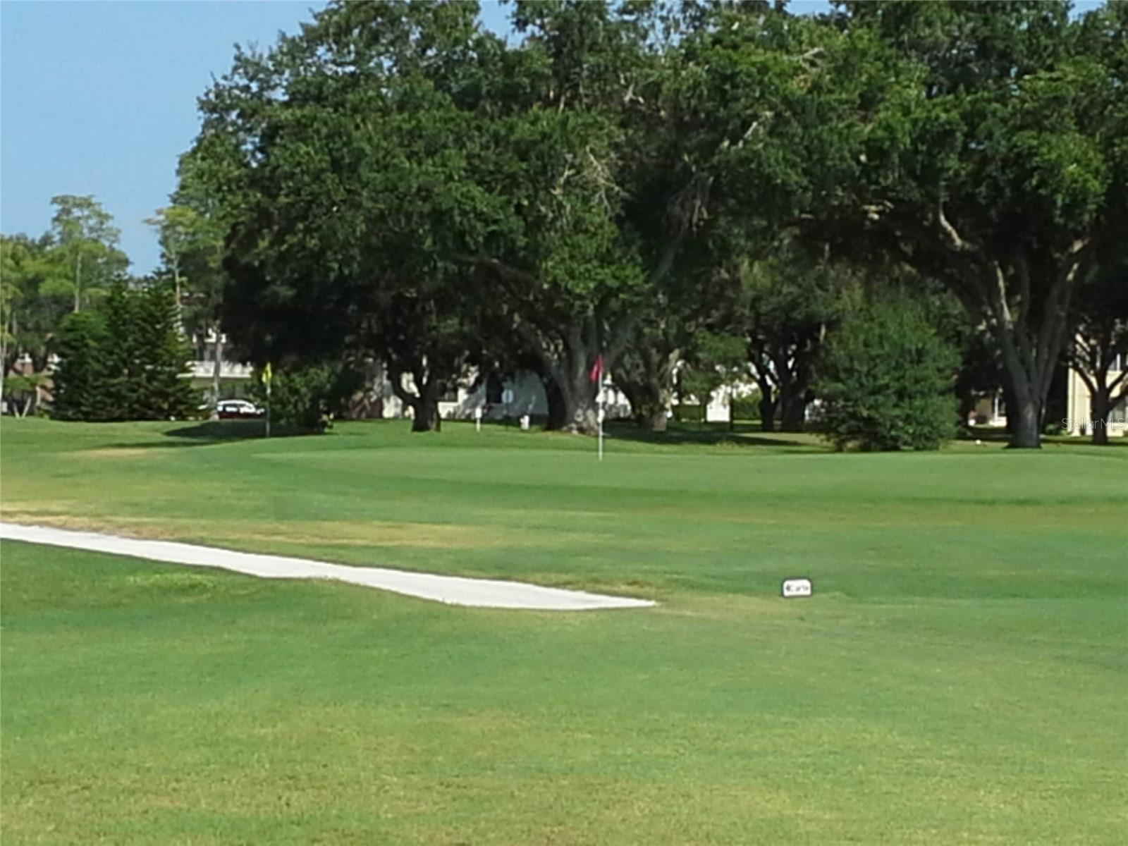Photo #32