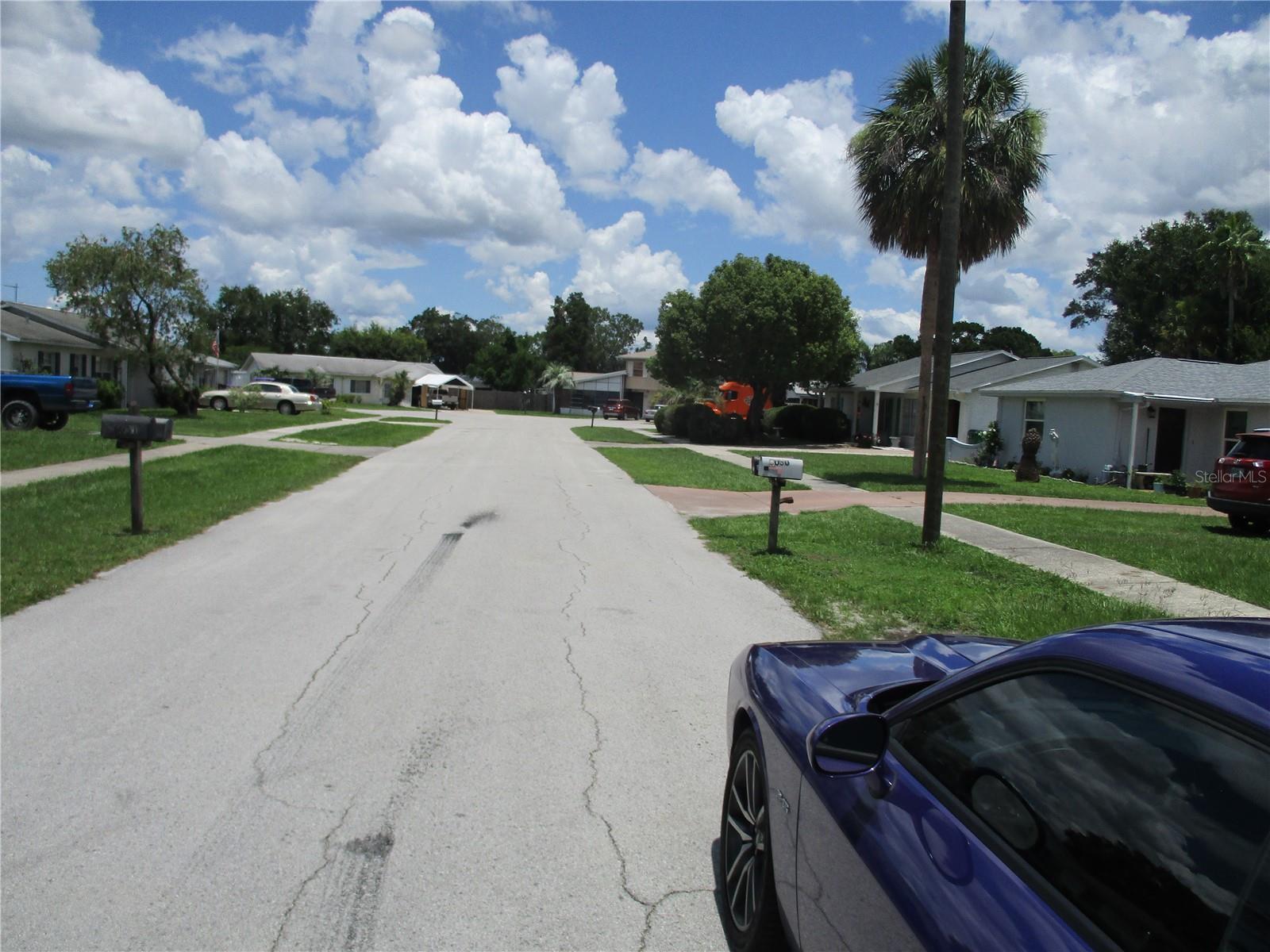 Photo #3
