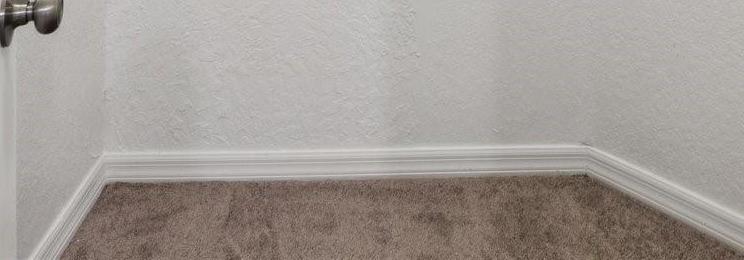 Photo #17