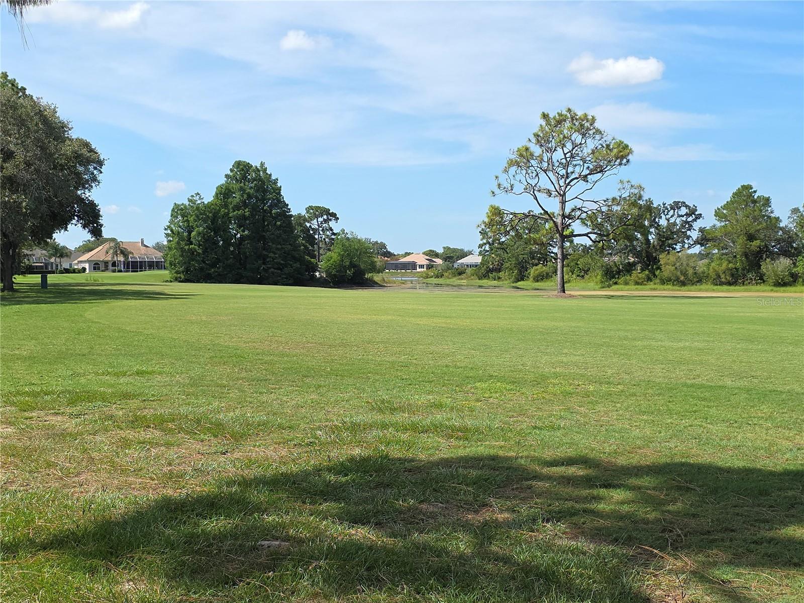 Photo #34