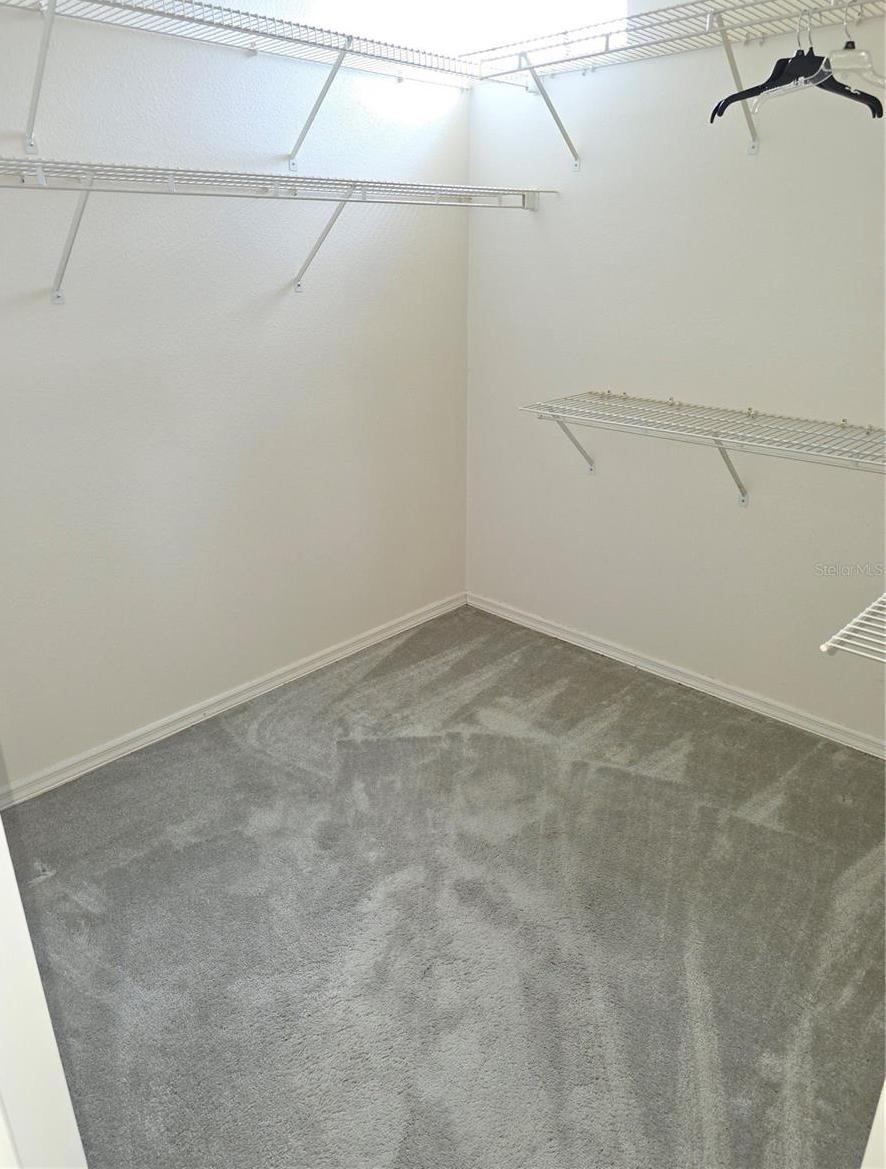 Photo #13