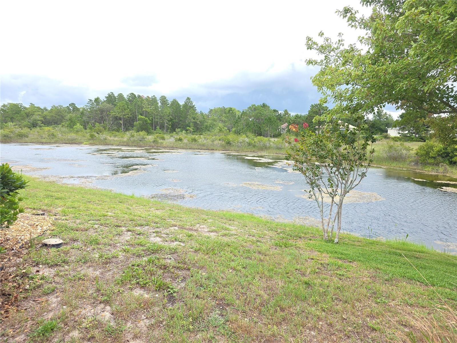 Photo #38
