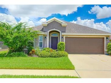 Photo one of 10918 Standing Stone Dr Wimauma FL 33598 | MLS A4593194