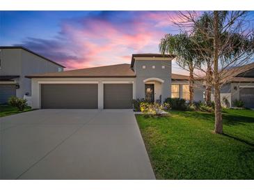 Photo one of 11103 Carlton Fields Dr Riverview FL 33579 | MLS A4604123