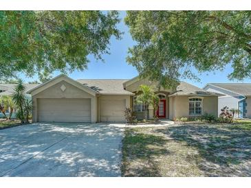 Photo one of 11212 Andy Dr Riverview FL 33569 | MLS A4606853
