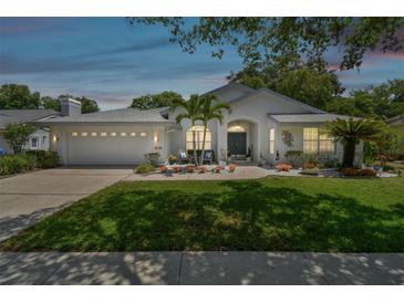 Photo one of 15924 Ellsworth Dr Tampa FL 33647 | MLS A4608023