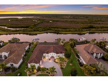 Photo one of 11432 Harbourside Ln Parrish FL 34219 | MLS A4608564