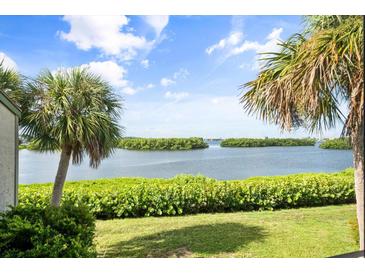 Scenic water view featuring lush landscaping, palm trees, and an expansive blue sky at 1520 Pelican Point Dr # 251, Sarasota, FL 34231