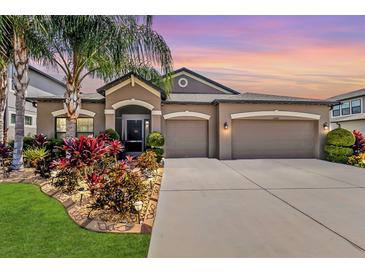 Photo one of 11407 Carlton Fields Dr Riverview FL 33579 | MLS A4624752