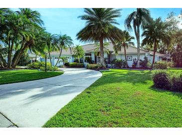 Single-story home with palm trees, lush landscaping, and a long driveway at 3017 Wilderness E Blvd, Parrish, FL 34219