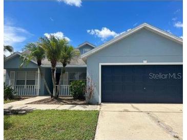 Single-story house with a two-car garage and palm trees at 11761 Shirburn Cir, Parrish, FL 34219