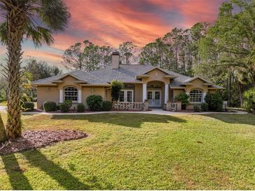 Single-story home with a large front yard and a beautiful sunset at 6687 Pitomba St, North Port, FL 34286