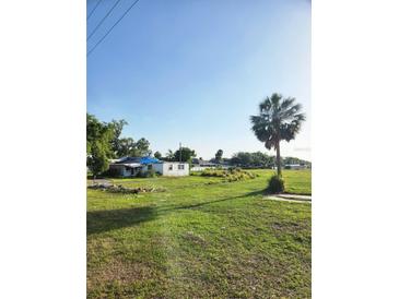 Home with a large yard and palm tree at 2815 Us-41 N, Palmetto, FL 34221