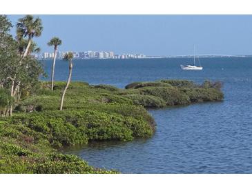 Scenic waterfront view showcasing lush greenery, clear blue waters, and a distant cityscape at 6430 Sun Eagle Ln # 201, Bradenton, FL 34210