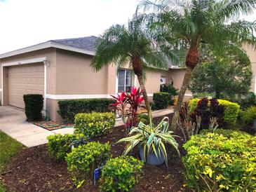 Landscaped front yard with well-maintained lawn, shrubs, and palm trees enhances curb appeal of this tan-colored home at 6916 Stoneywalk Ct # 6916, Bradenton, FL 34203
