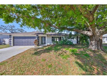 Inviting front exterior of the home featuring mature landscaping and a gray garage door at 7104 13Th E St, Sarasota, FL 34243