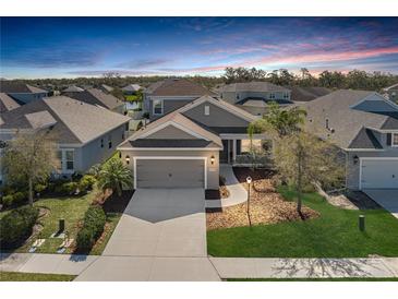 Charming single-Gathering home featuring a manicured lawn, two-car garage, and inviting front porch at 10919 Blue Magnolia Ln, Parrish, FL 34219