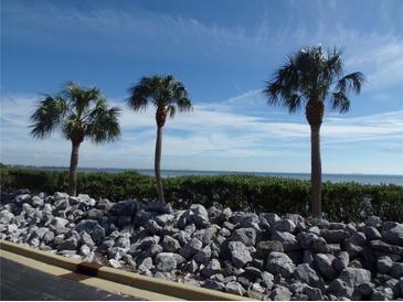 Scenic waterfront view featuring palm trees, lush greenery, and a rocky shoreline under a bright blue sky at 4555 Bay Club Dr # 22, Bradenton, FL 34210