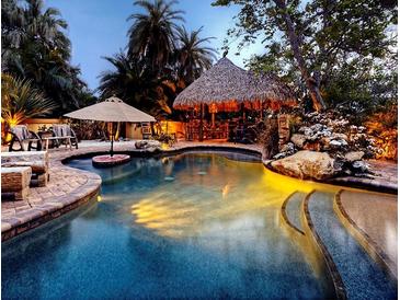 Resort-style pool featuring a tiki bar, umbrella, and inviting lighting at 2212 6Th W St, Palmetto, FL 34221