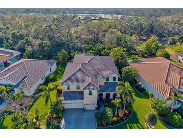 Stunning aerial view of home showing lush greenery, mature palms, and a tile roof at 5670 Rock Dove Dr, Sarasota, FL 34241