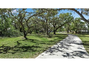 Expansive front yard featuring mature trees, lush green grass and a long driveway, perfect for enjoying nature's beauty at 6510 24Th E Ave, Bradenton, FL 34208