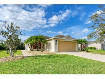 Charming single-story home with a manicured lawn, mature landscaping, and a two-car garage with a warm beige color scheme at 9767 50Th Street E Cir, Parrish, FL 34219