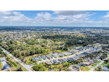 Stunning aerial view of the neighborhood with lush trees and serene ponds at 2538 Fireflag Ln, Sarasota, FL 34232
