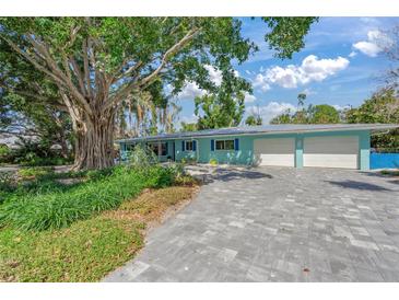 Charming blue home featuring a paved driveway and a large banyan tree at 425 Poincianna Dr, Sarasota, FL 34243