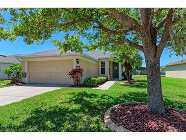 Charming single-Gathering home with a well-manicured lawn and mature landscaping at 5015 98Th E Ave, Parrish, FL 34219