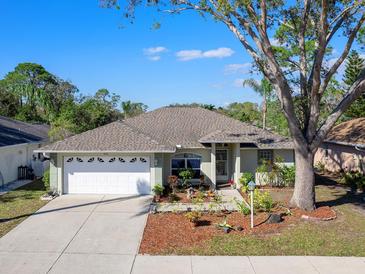 Charming single-story home featuring a well-manicured lawn, a two-car garage, and a welcoming front entrance at 4627 Breezy Pines Blvd, Sarasota, FL 34232