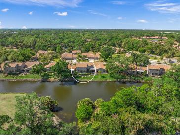 Beautiful aerial view of this waterfront home nestled among lush greenery and a serene lake at 4543 Forest Wood Trl # 33, Sarasota, FL 34241