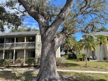 Well-maintained condo building with manicured lawn and beautiful mature tree in a desirable community at 2224 Bahia Vista St # E6, Sarasota, FL 34239