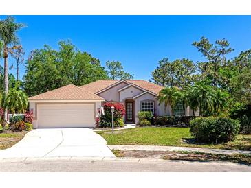 Charming single-story home with a well-manicured lawn, mature trees, and a two-car garage at 11419 Pine Lilly Pl, Lakewood Ranch, FL 34202