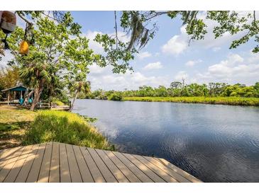 Scenic waterfront view from the deck, showcasing lush greenery and tranquil waters at 6737 Lincoln Rd, Bradenton, FL 34203