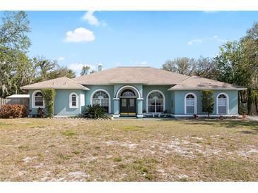 Inviting light blue home with arched windows and a well-maintained lawn on a sunny day at 12103 Shadow Run Blvd, Riverview, FL 33569