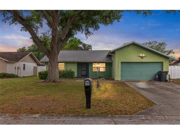 Charming single-story home with a well-maintained lawn and mature tree providing ample shade at 1727 Lake Crest Ave, Brandon, FL 33510