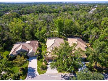 An aerial view of a home with a terracotta roof nestled among lush greenery and mature trees, creating a private setting at 6748 Hickory Hammock Cir, Bradenton, FL 34202