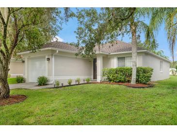 Attractive single-story home featuring a lush green lawn and a cozy, welcoming design at 18106 Canal Pointe St, Tampa, FL 33647