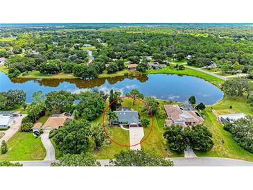 Beautiful aerial view of lakeside home featuring lush greenery and serene water views at 1103 134Th E St, Bradenton, FL 34212